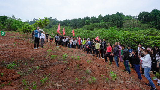 省新利体育集团开展龙泉山都会森林公园 “包山头”植树运动
