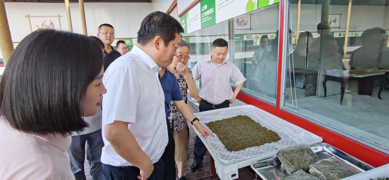 省新利体育集团党委副书记、董事陈日赴嘉陵区调研茶桑工业生长情形