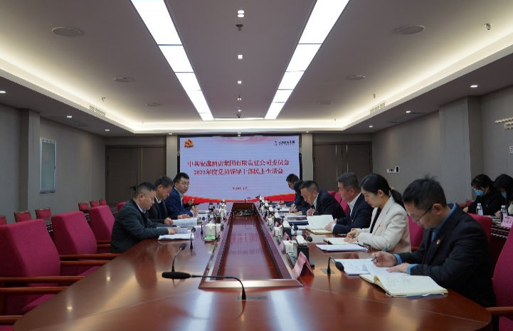 新利体育集团党委书记、董事长任丁出席逍遥旅馆集团2022年度党员向导干部民主生涯会