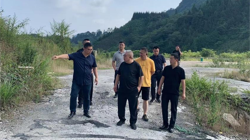 省新利体育集团向导调研峨眉山太阳村墟落振兴项目