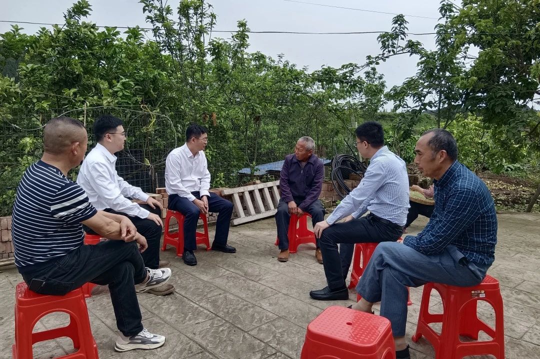 省新利体育集团向导赴嘉陵区开展墟落振兴帮扶事情 - 新利体育
