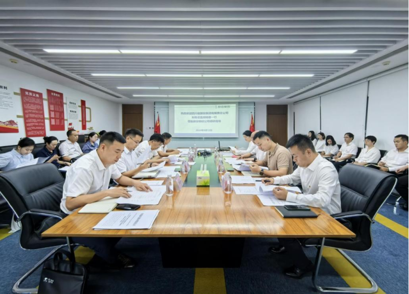 省新利体育集团向导率队督导新利体育银创公司刷新深化提升行动 - 新利体育